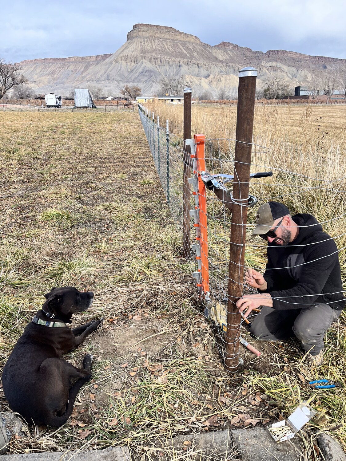 Working the fenceline with Mt. Garfield behind